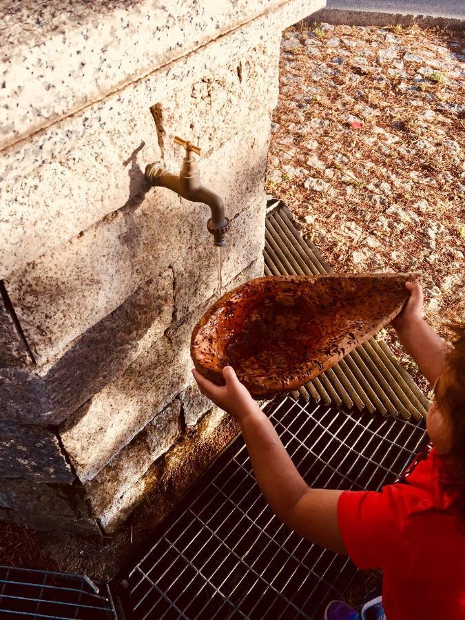 La Vecchia Posta B&B Calangianus Εξωτερικό φωτογραφία