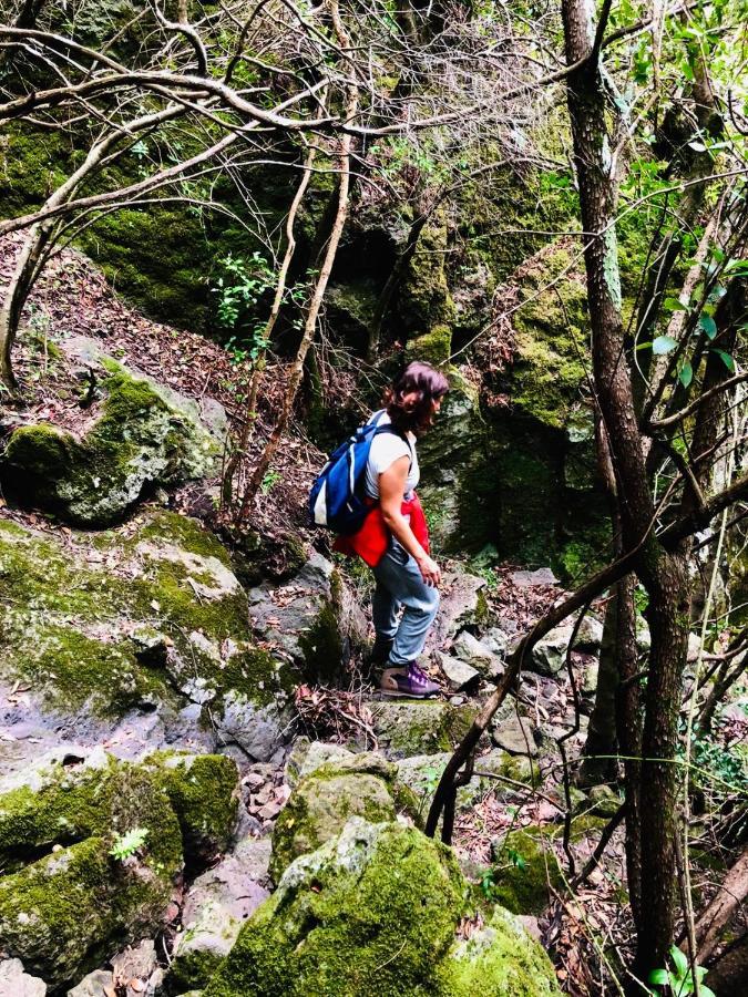 La Vecchia Posta B&B Calangianus Εξωτερικό φωτογραφία